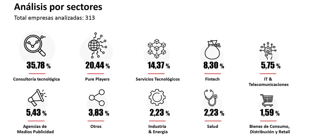 sectores programación
