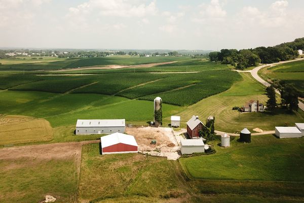 La digitalización rural: oportunidades, retos y ejemplos de emprendimiento