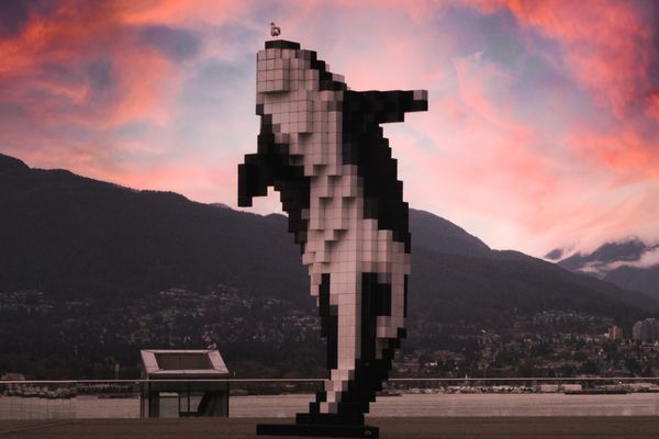 ¿Qué papel juega la digitalización en la conservación del medio ambiente?