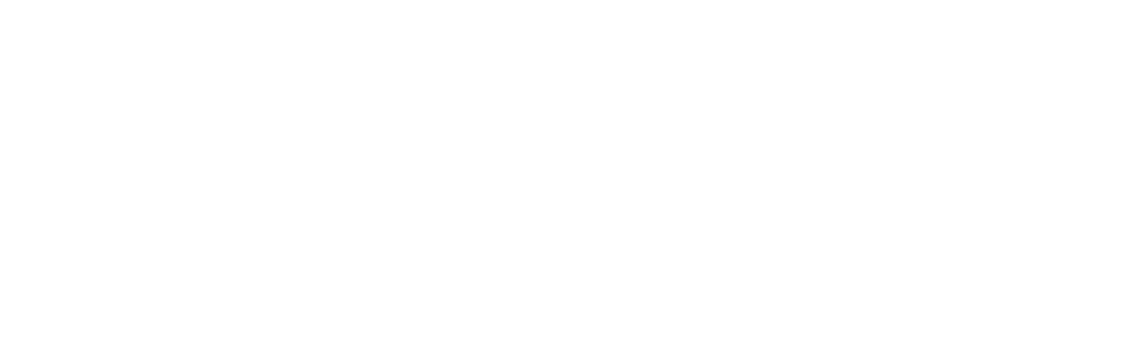 Logo Visa