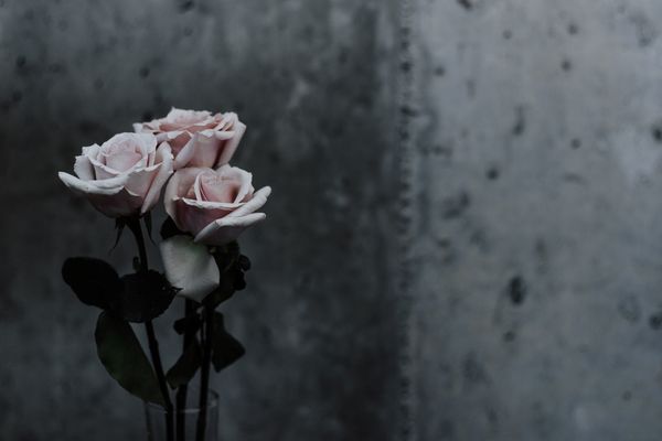 Comprender, analizar y festejar el Día de las Madres