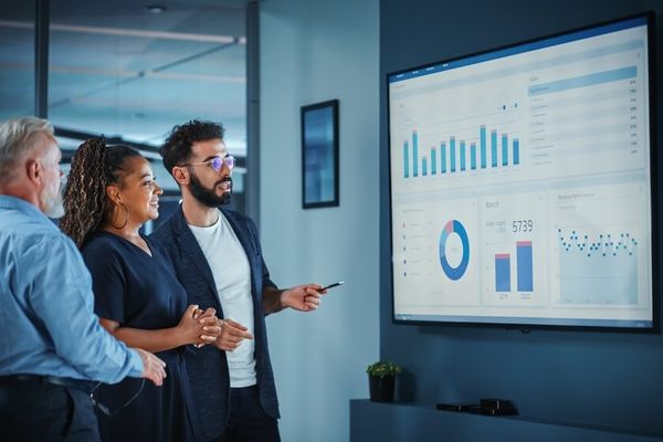 ¿Qué hace un Data Manager?