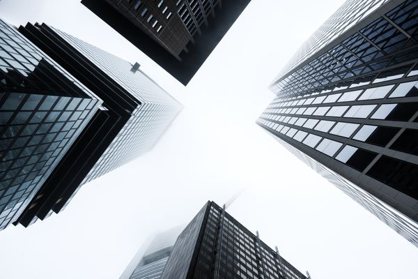 Optimismo Digital: Crecimiento y rondas de financiación